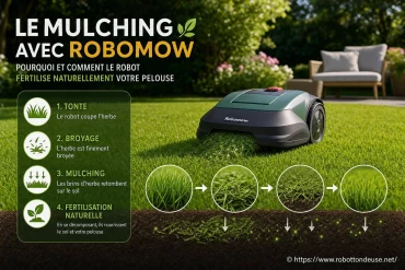 Le mulching avec Robomow : pourquoi et comment fertiliser naturellement votre pelouse ?