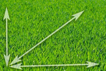 Jusqu'à quelle distance la zone de tonte peut-elle s'étendre ?