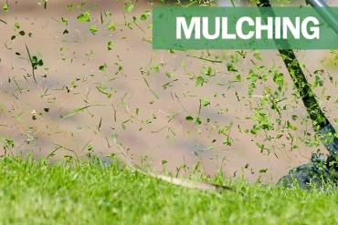 Qu’est-ce que la fonction mulching sur une tondeuse ?